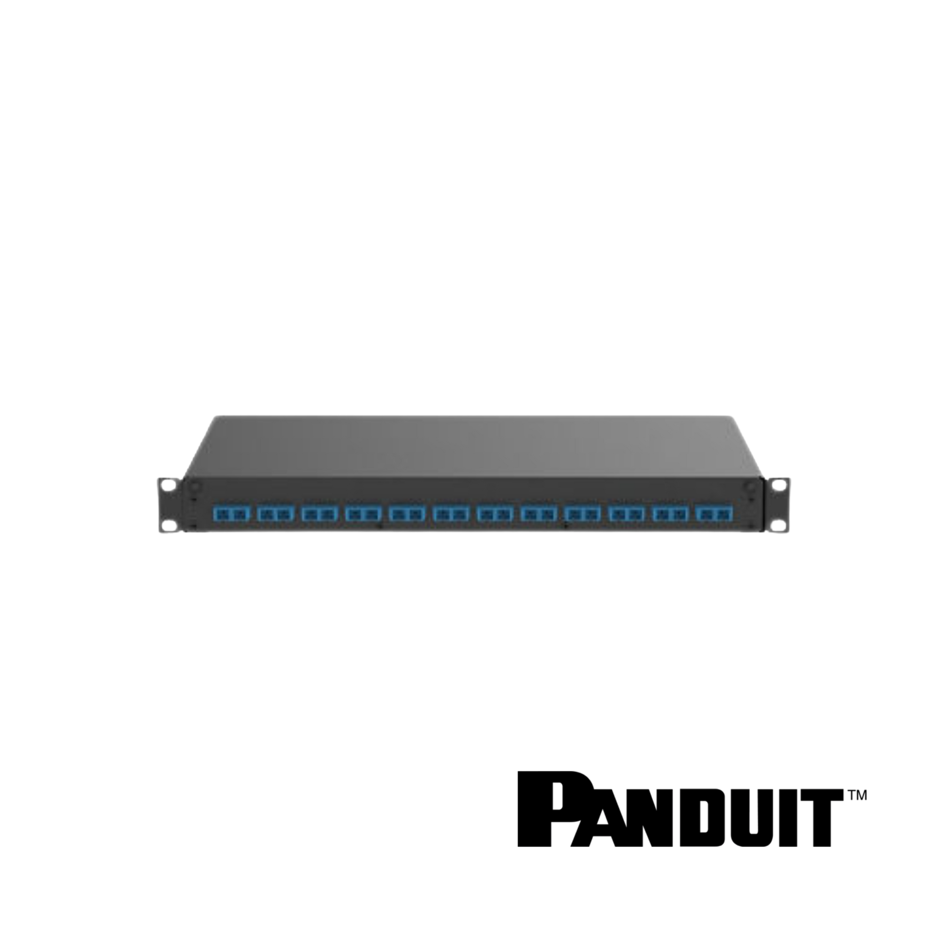 Image of PANDUIT Mini-Com® Unshielded Angled Flush Mount Modular Patch Panel (PT-FD1W12BUDSCZ)